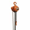 Vestil Professional Chain Hoist, 1K, 15 ft. PHCH-1-15